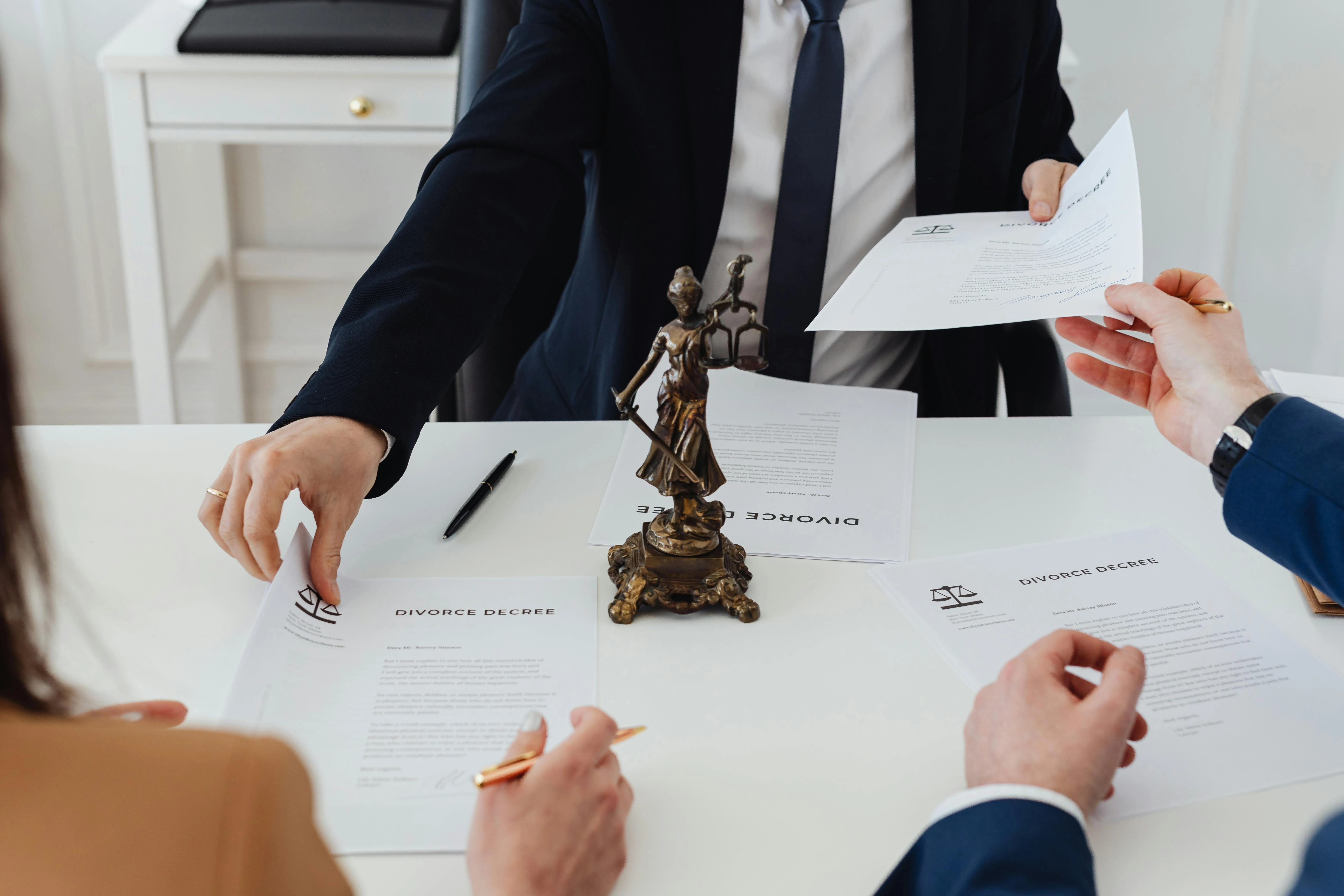 Litigation services
